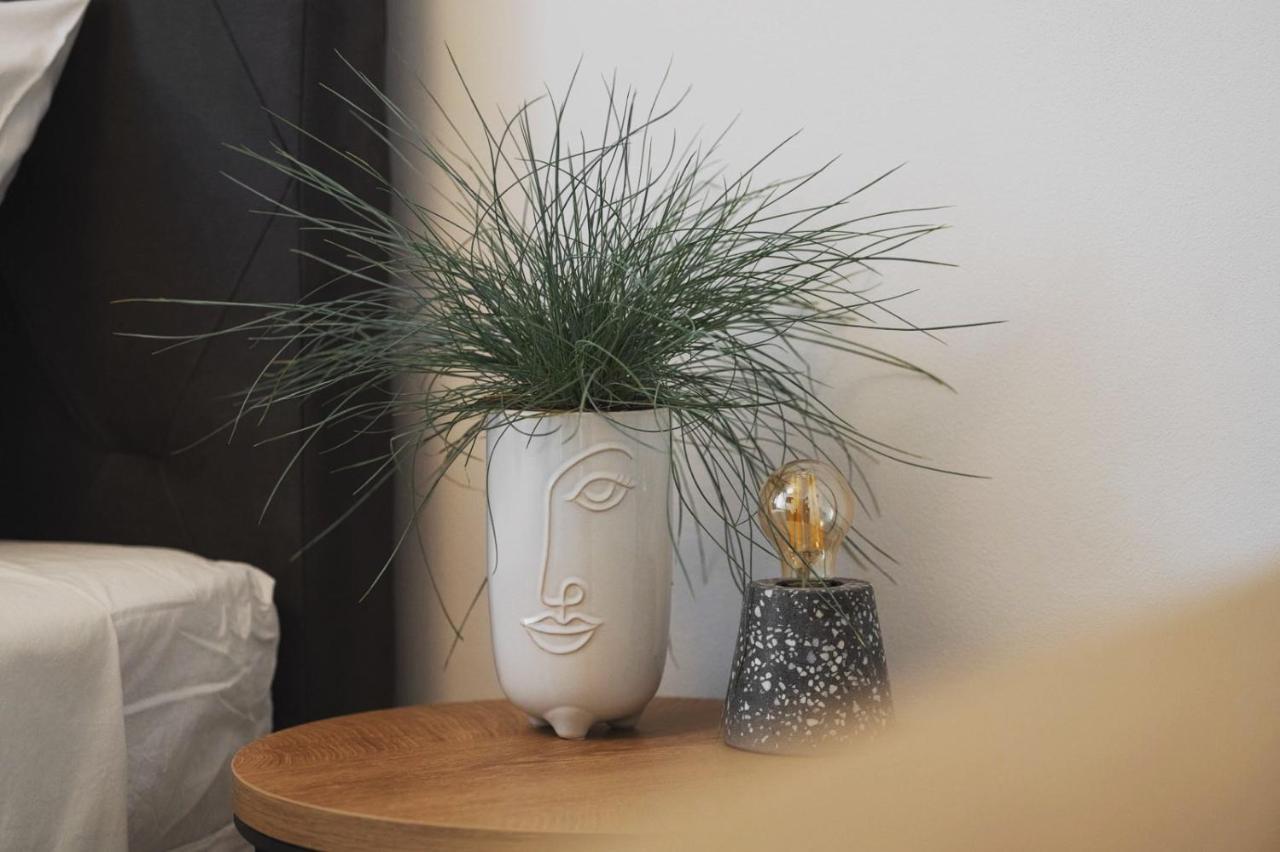 Appartement V